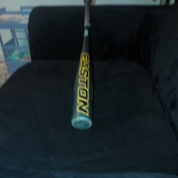 Boys Baseball Bat 28 inch Drop 10