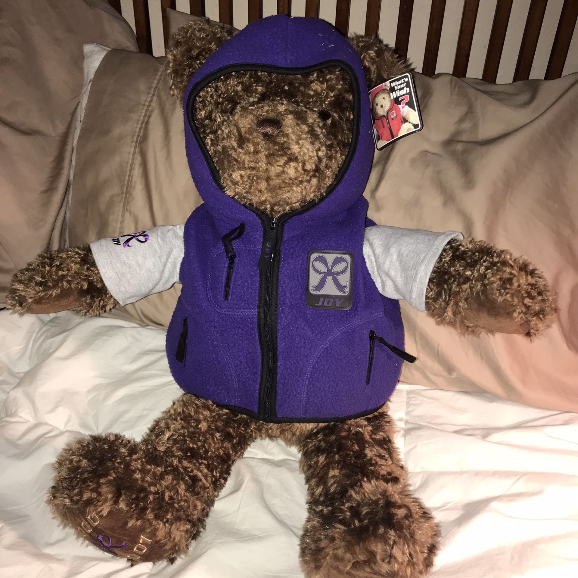 Gund Millenium 24" Brown Joy Wish Teddy Bear with Jacket 2000 NWT