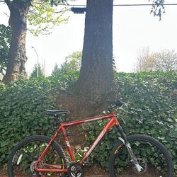 Iron Horse Warrior Mountain Bike – 21” Large Frame (26” Wheels) Bicycle Disc Brakes