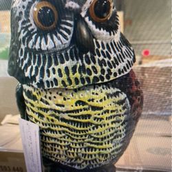 Defense Garden Owl 