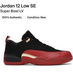 Jordan 12 Retro Low Super Bowl Size 7