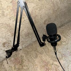 Podcast Mic