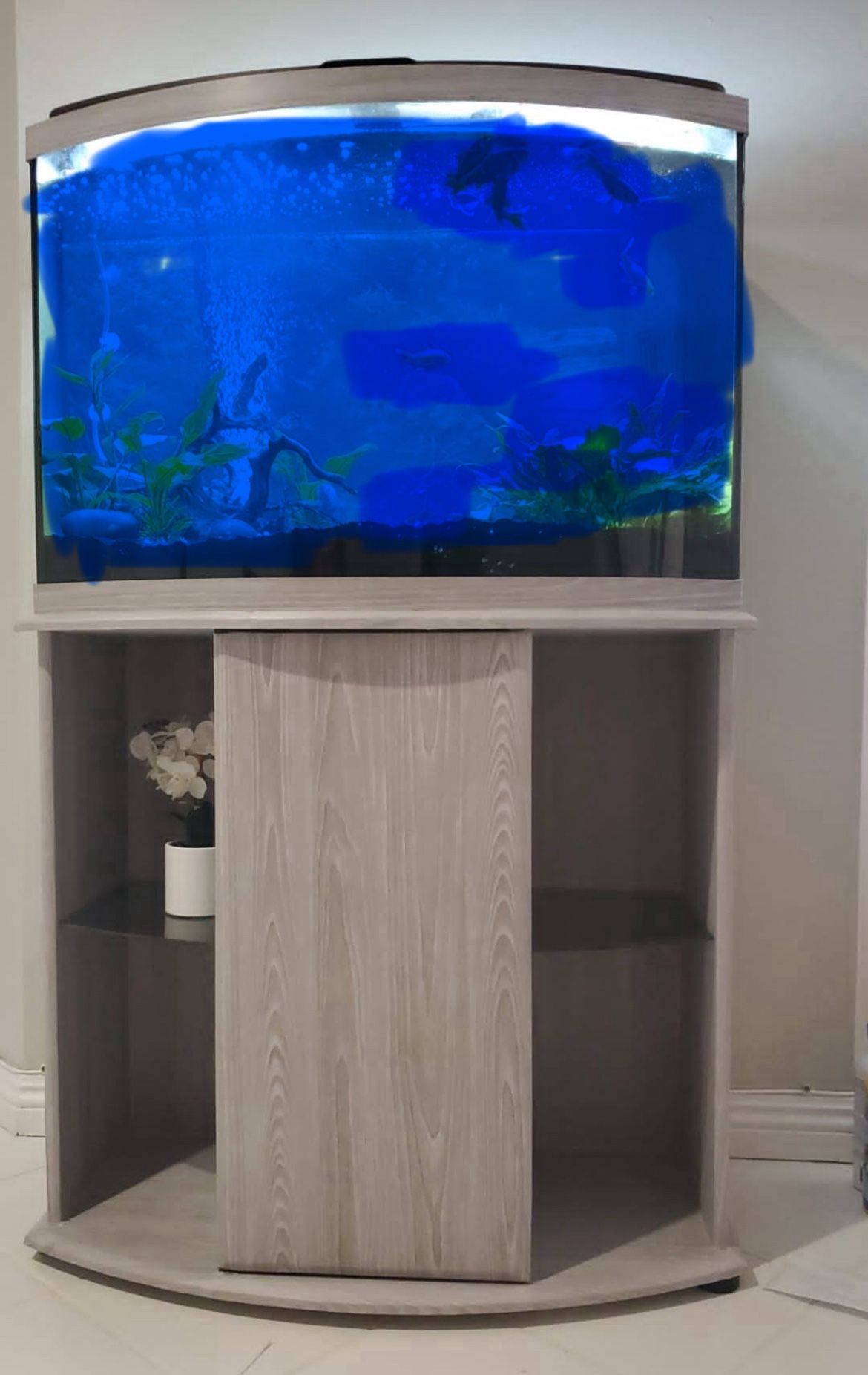 36 Gallons Aquarium