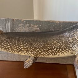Taxidermied Northern Pike Mount 
