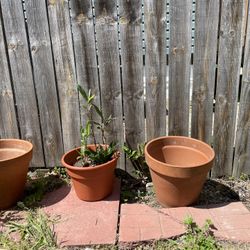 Planters