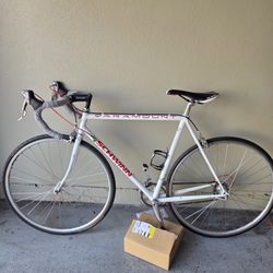 Schwinn Paramount Road Bike Vintage