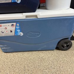 Coleman Cooler 