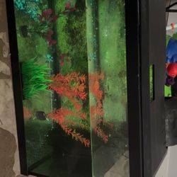 Fish Tank With Lights And Accessories 