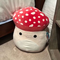 One Singular Large Malcolm 