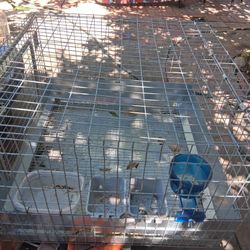Jaula SIZE 24 X24  X16