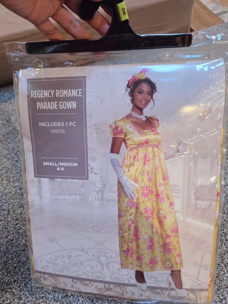 Bridgerton Halloween Costume