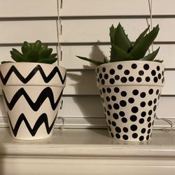 Set of artificial Succulents