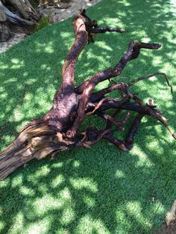 Driftwood For Aquariums Terrariums Decor
