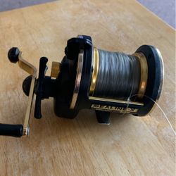 Diawa Sealine Fishing Reel
