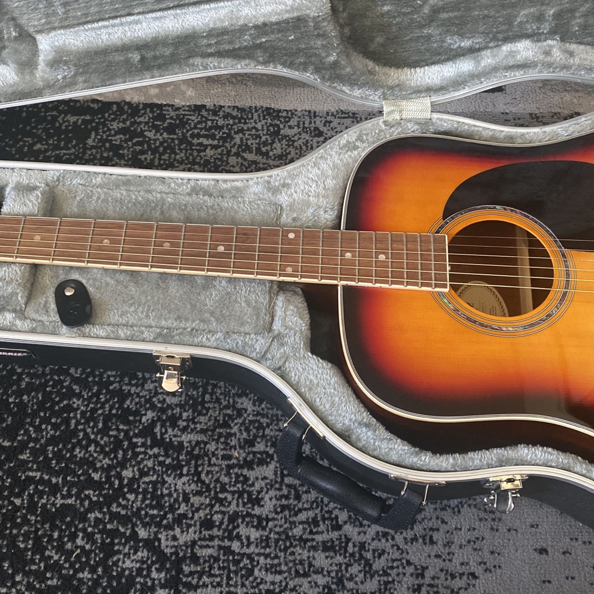 Mitchell Guitar With Road Runner Case