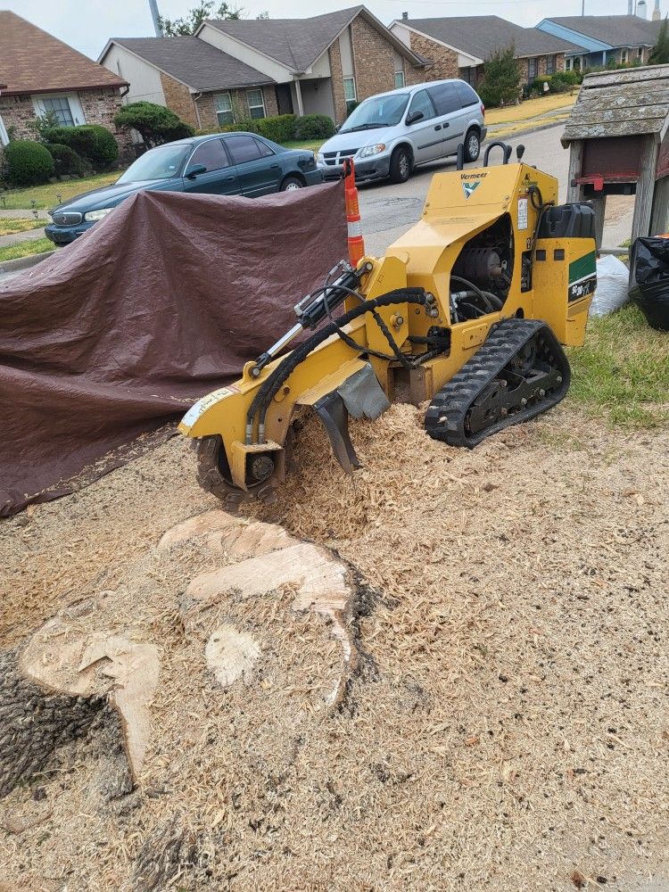 I do stump grinden gud prices molemos troncos buenos precios