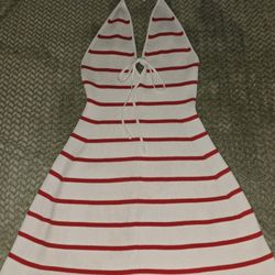 Mini Sweater Dress (Wild Fable) 