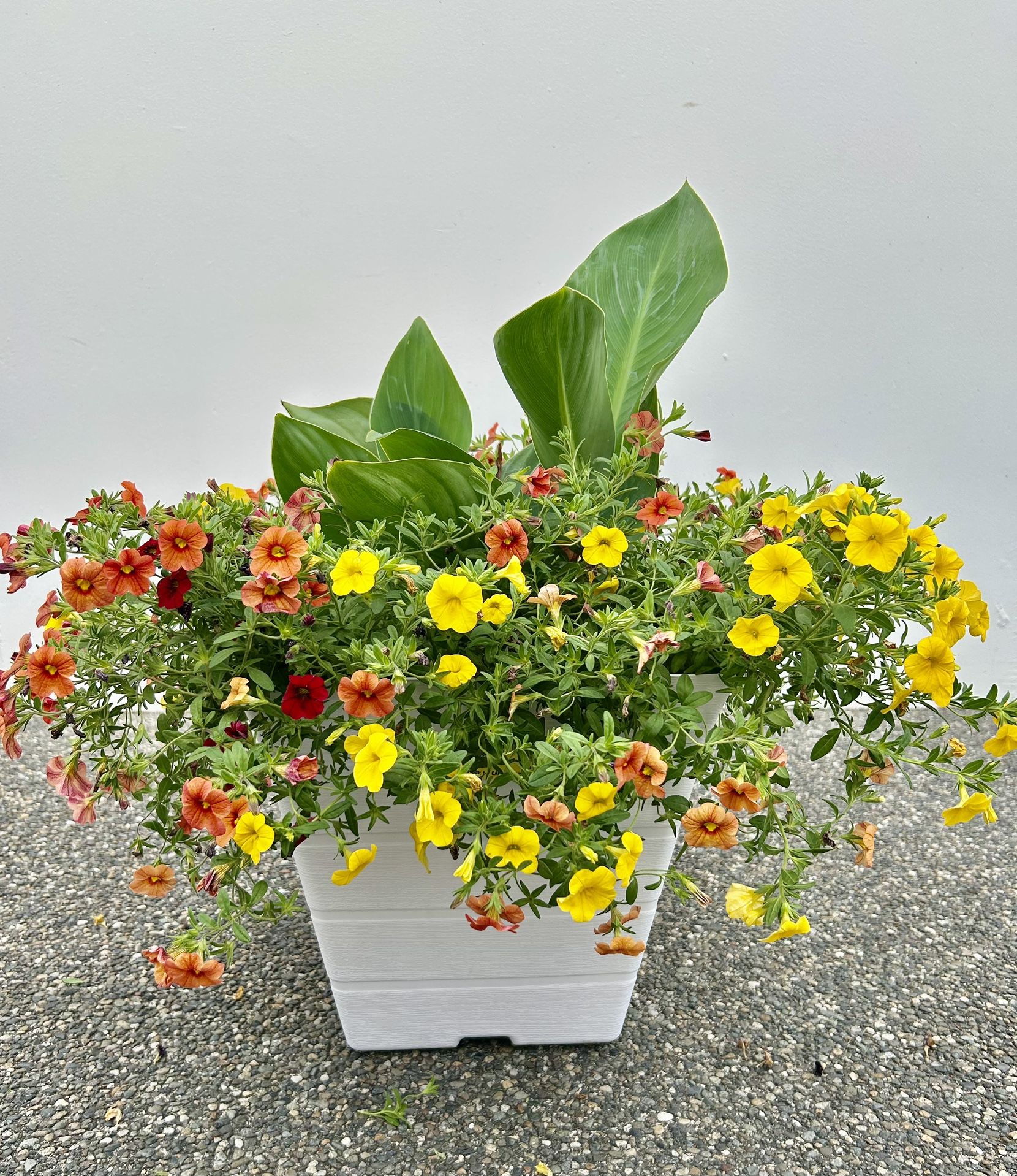 LAST CALL!!!! Lovely Flower Pots & Potted Arrangements