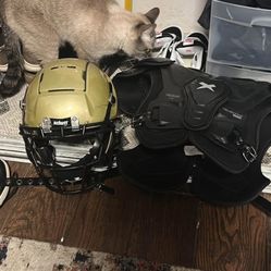 F7 And Pads  ( Might Throw In A Purple Visor)