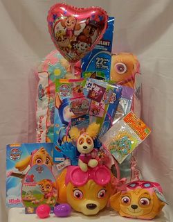 PAW PATROL SKYE BASKET