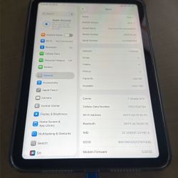 iPad Mini 6th Generation Cellular 256gb Space Gray