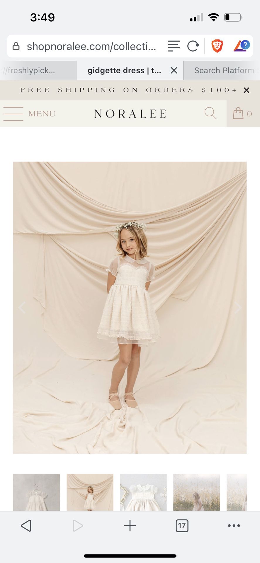 Nora Lee Flower Girl/ Party Dress