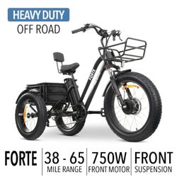 GO BIKE Forte - Large Electric Trike