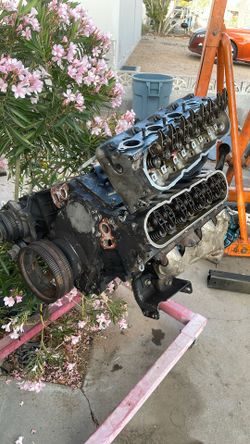 Ls 5.3 