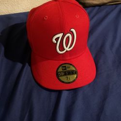 Washington Nationals Hat