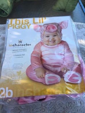 Infant Halloween pig costume 18-24 months. Cash Only. Everett/Broadway/Melvin Avenue Pick Up Area.