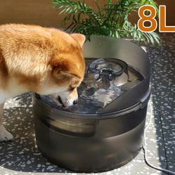 brand new Automatic Large Pet Water Fountain 