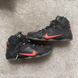 Nike Lebron Shoes Men’s Size 10