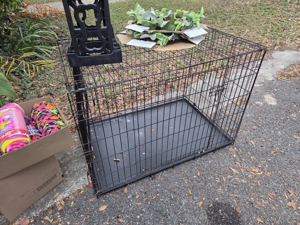 50% off Yard Sale Sunday December 7th 8am-? Rain or shine
1127 Sunshine Ave, Leesburg