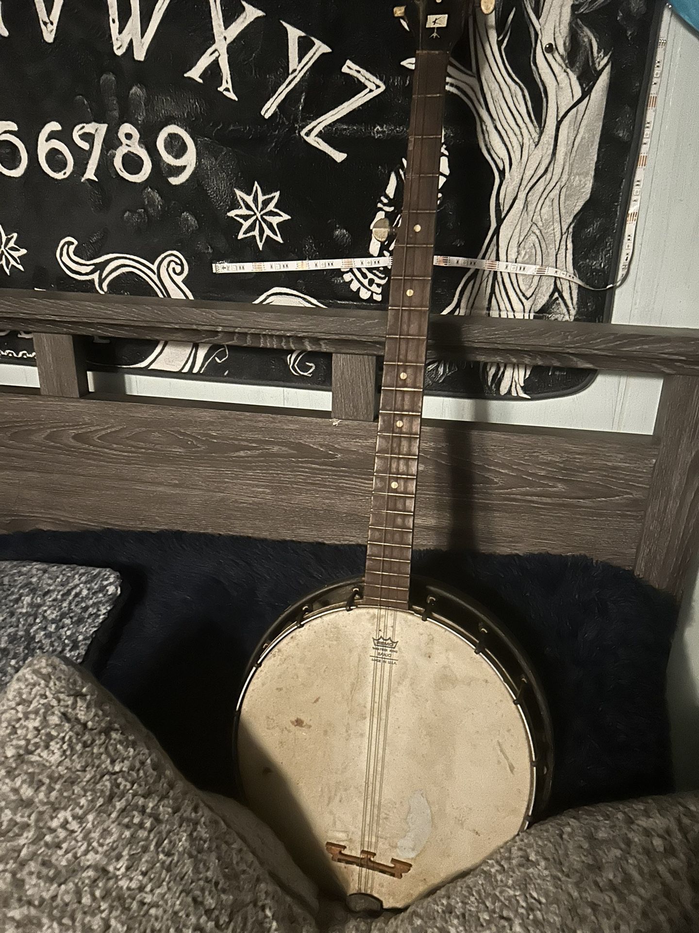 Antique Banjo Missing A String 