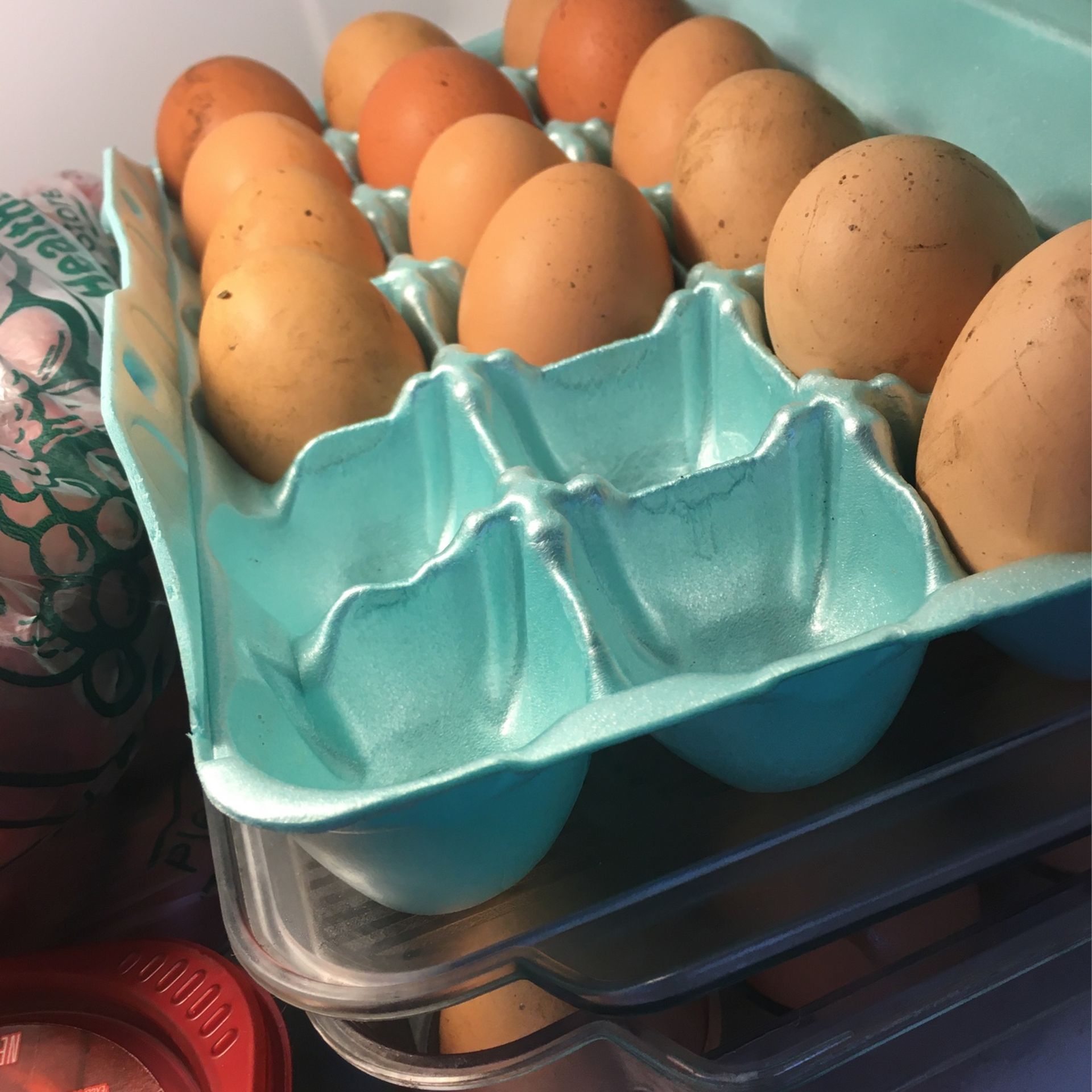 Fresh Chickens Eggs Not Fertilized