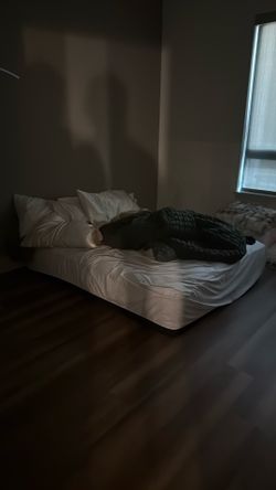 Free queen mattress