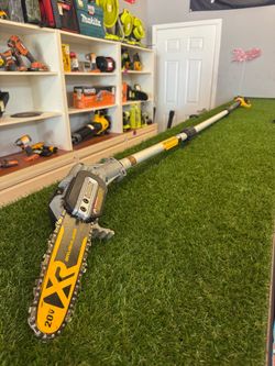 Dewalt 20v XR pole saw