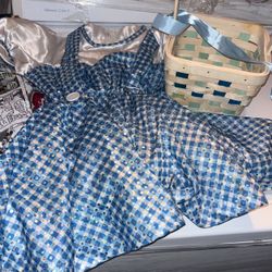 Dorothy Costume