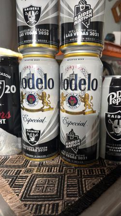 2020 Modelo Raider
