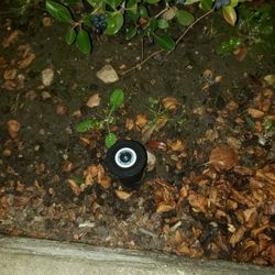 Need Sprinklers For Grass?