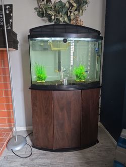 Fish tank