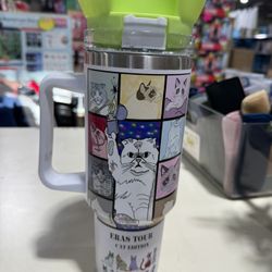 Taylor Swift Eras Tour Cat Edition