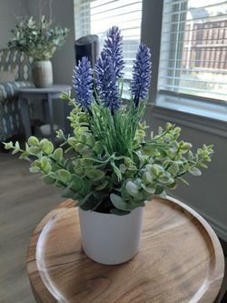 Flowers with ceramic pot