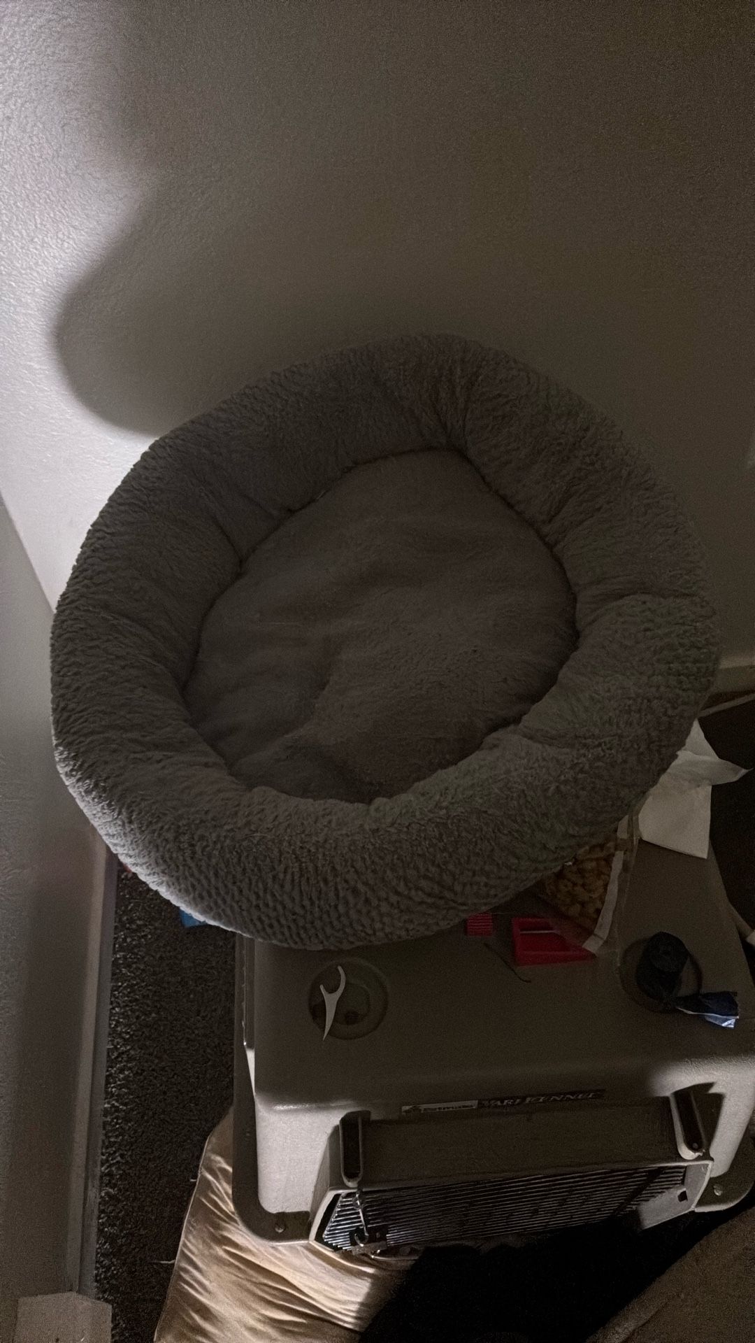 Silver used dog bed