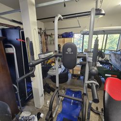 Roman Chair Pull Up Station 
