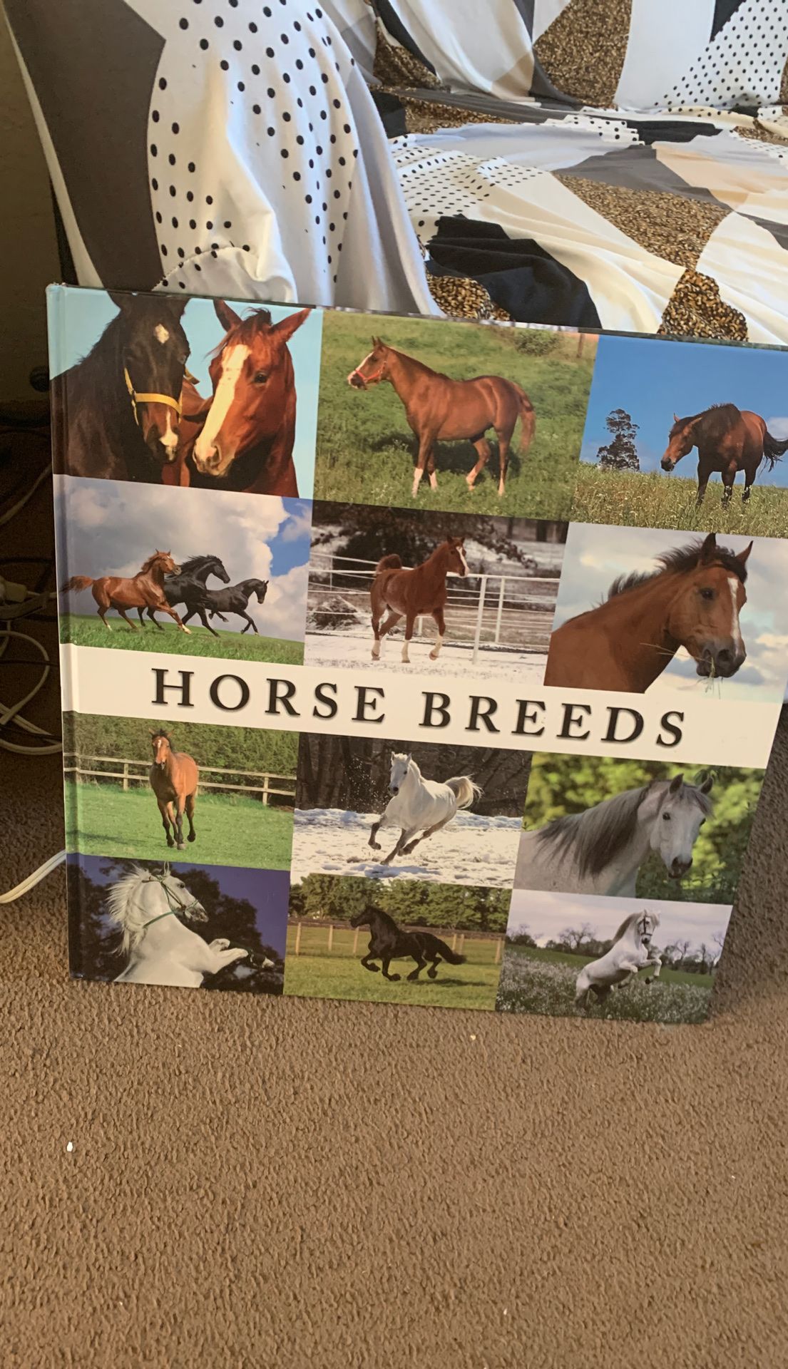 Big Book of Horse Breeds