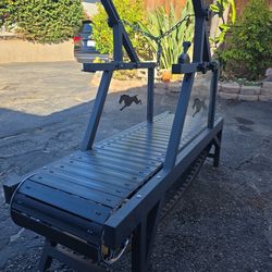 Dog Tredmill