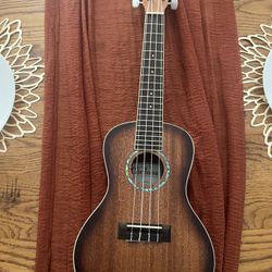 Cordoba 15CM-E Concert Acoustic Ukulele Edge Burst