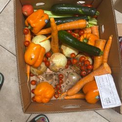 Fresh Fruits And Veggies 