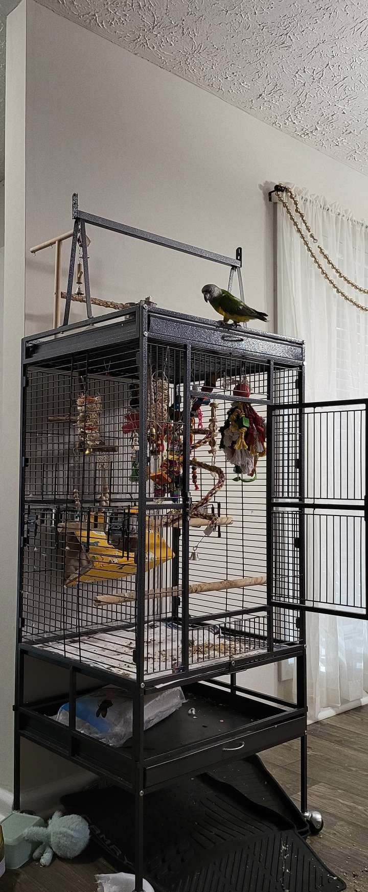 Large Bird Cage